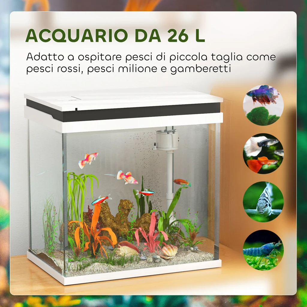 Immagine prodotto 7