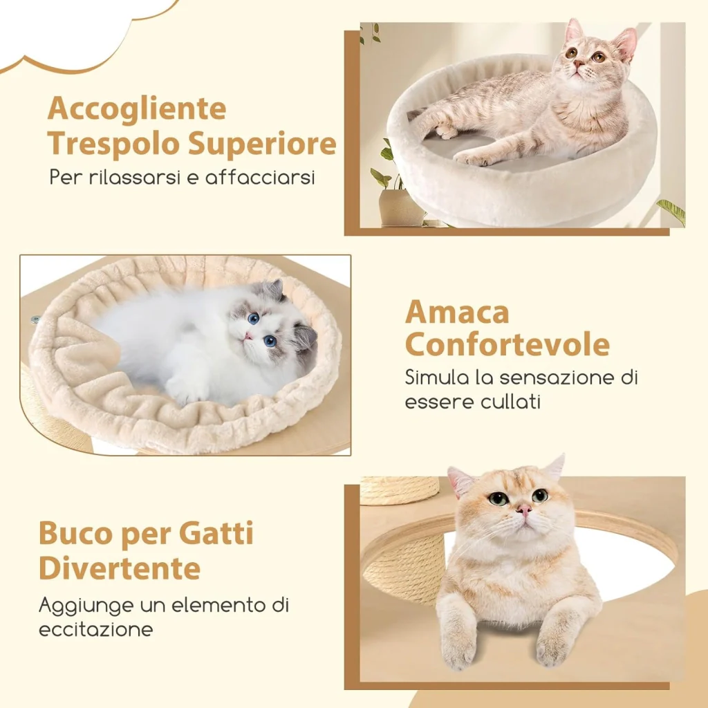 Immagine prodotto 4