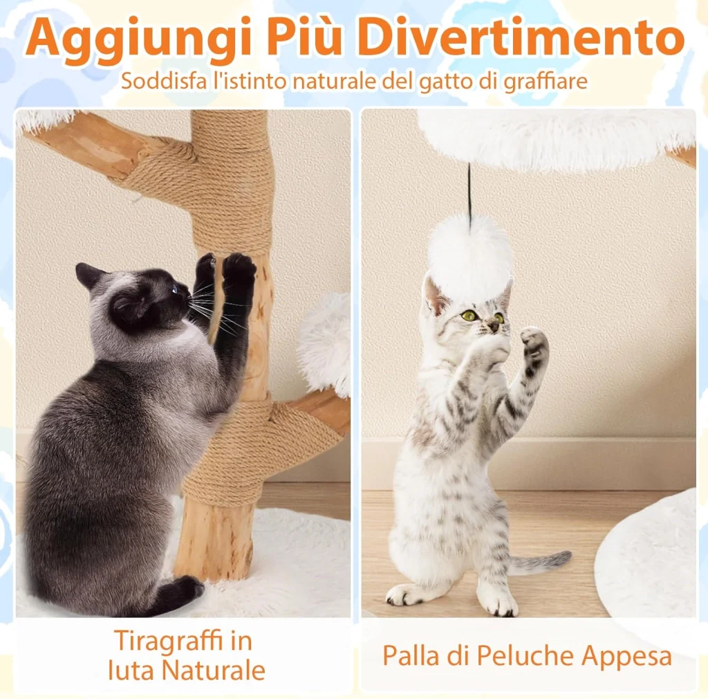 Immagine prodotto 5