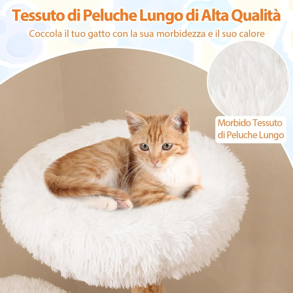 Immagine prodotto 6