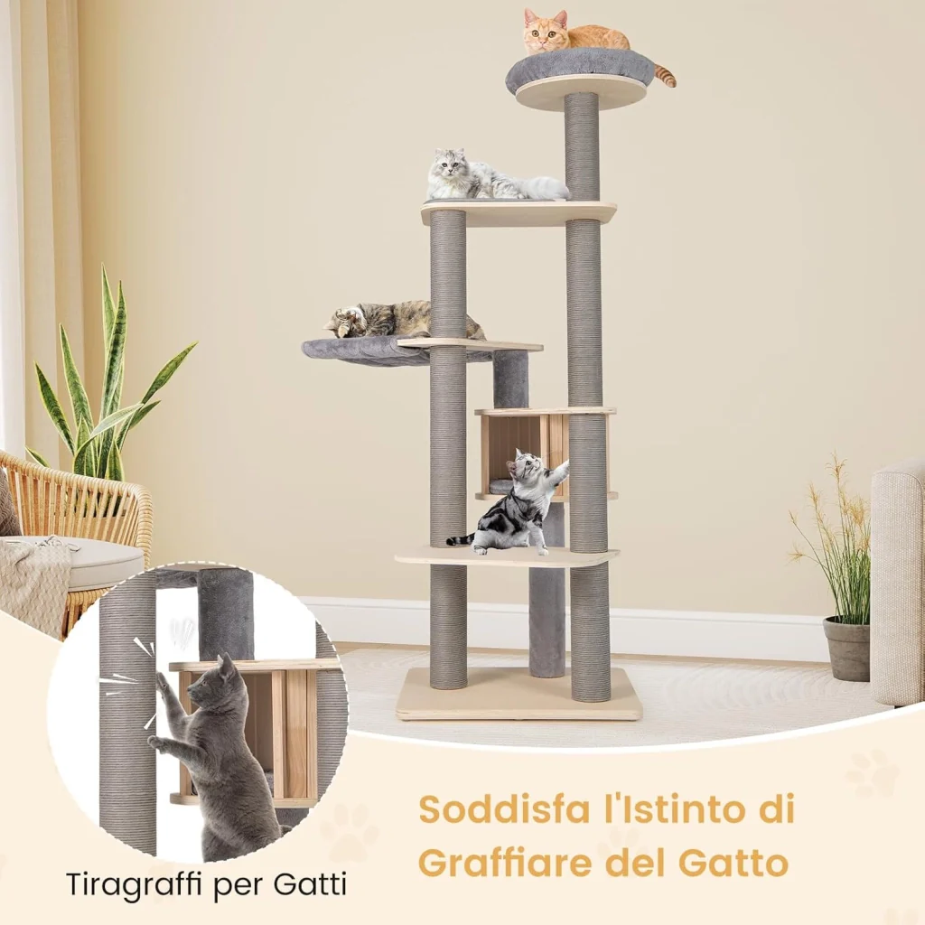 Immagine prodotto 5