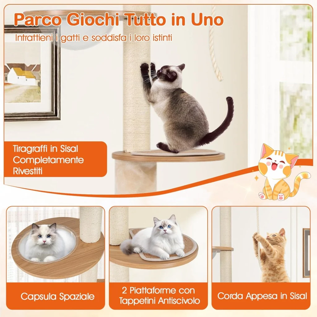 Immagine prodotto 6