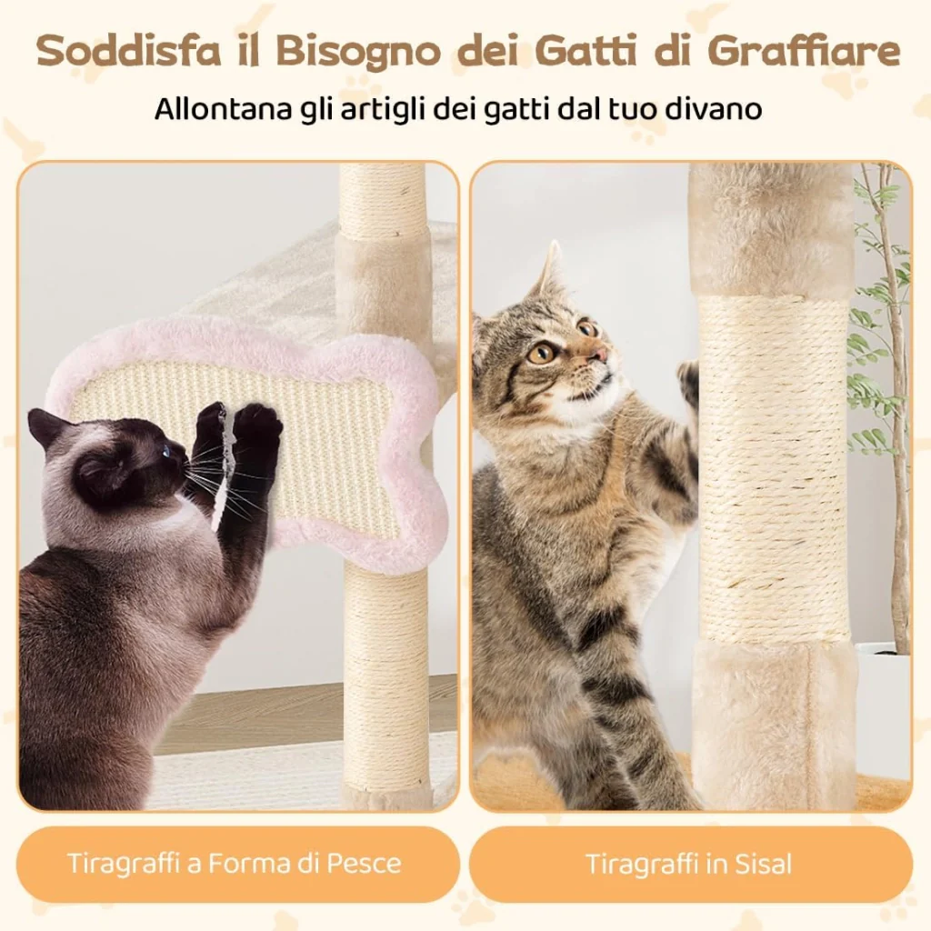 Immagine prodotto 5