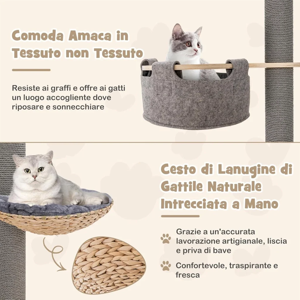 Immagine prodotto 3