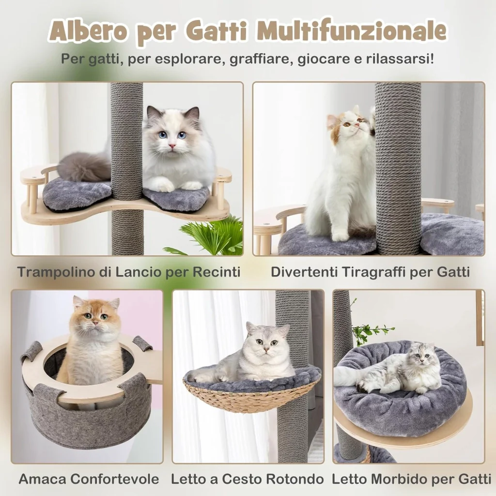 Immagine prodotto 6