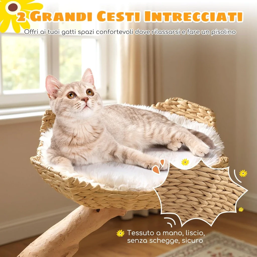 Immagine prodotto 6
