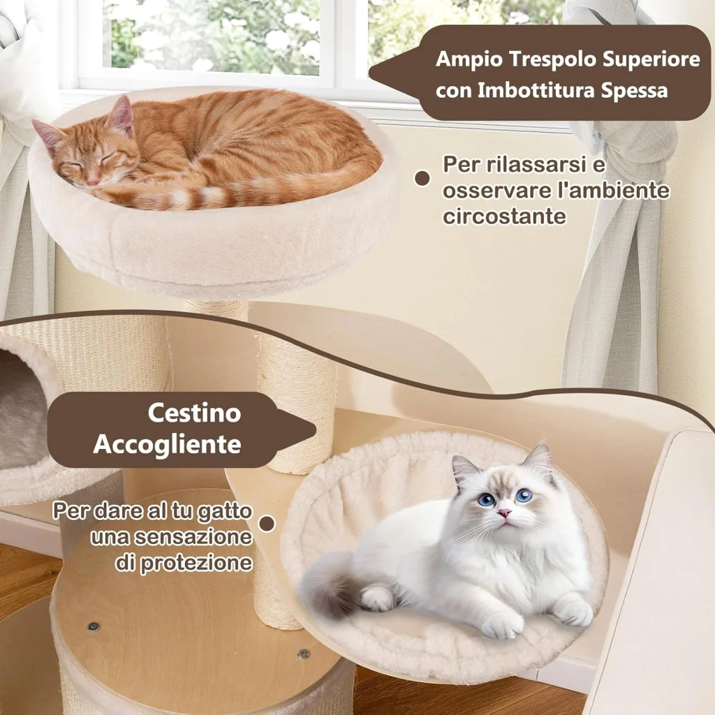 Immagine prodotto 5