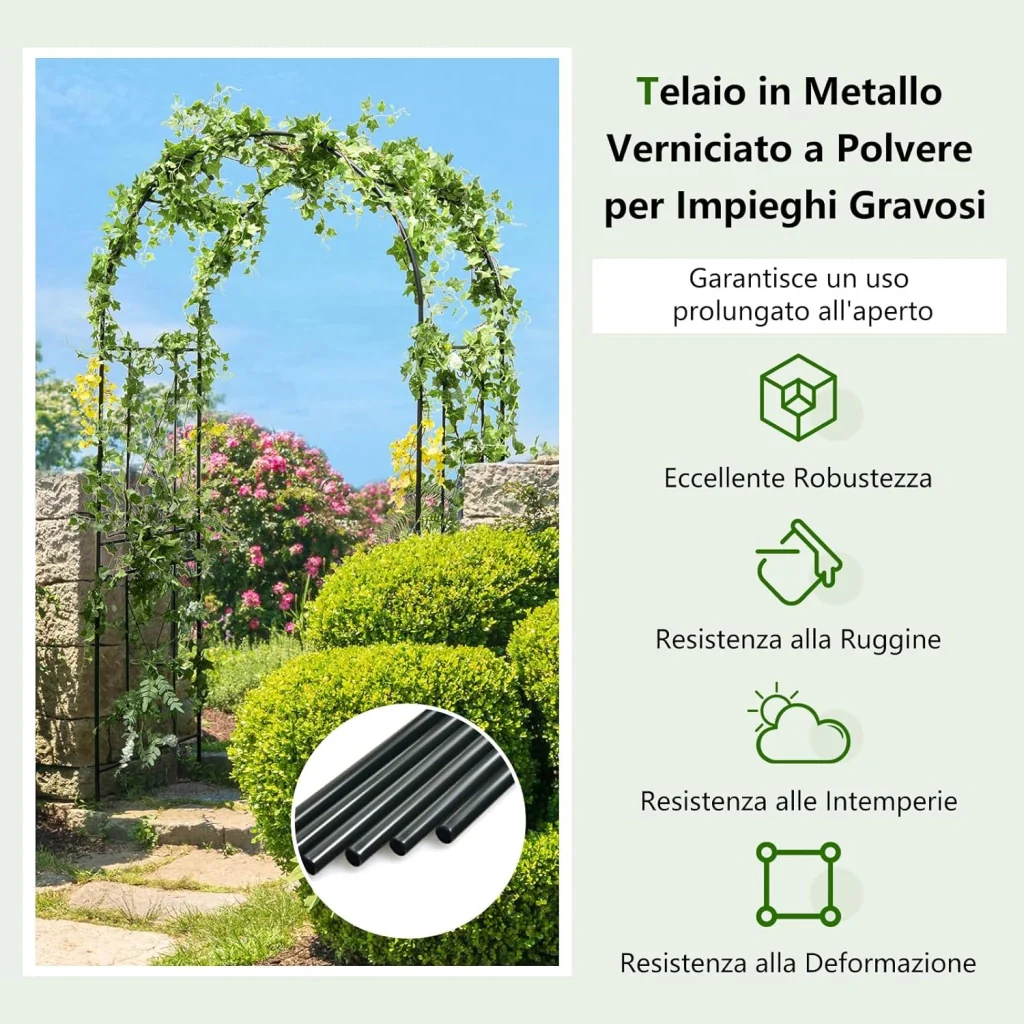 Immagine prodotto 4