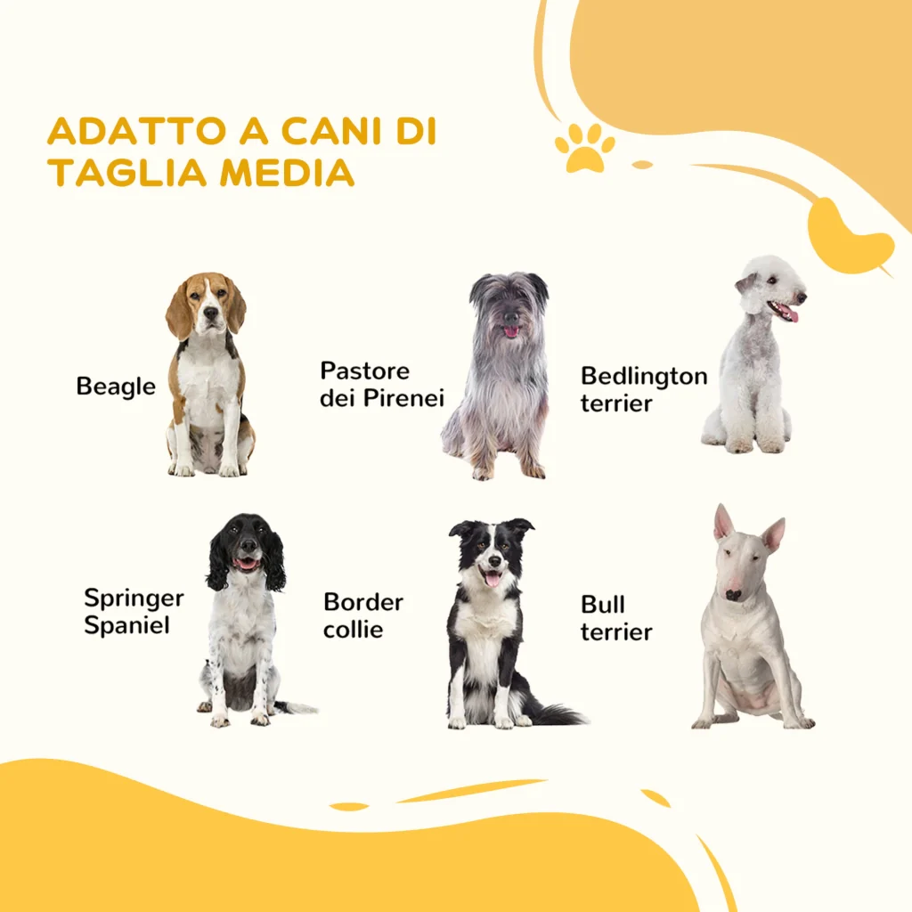 Immagine prodotto 9