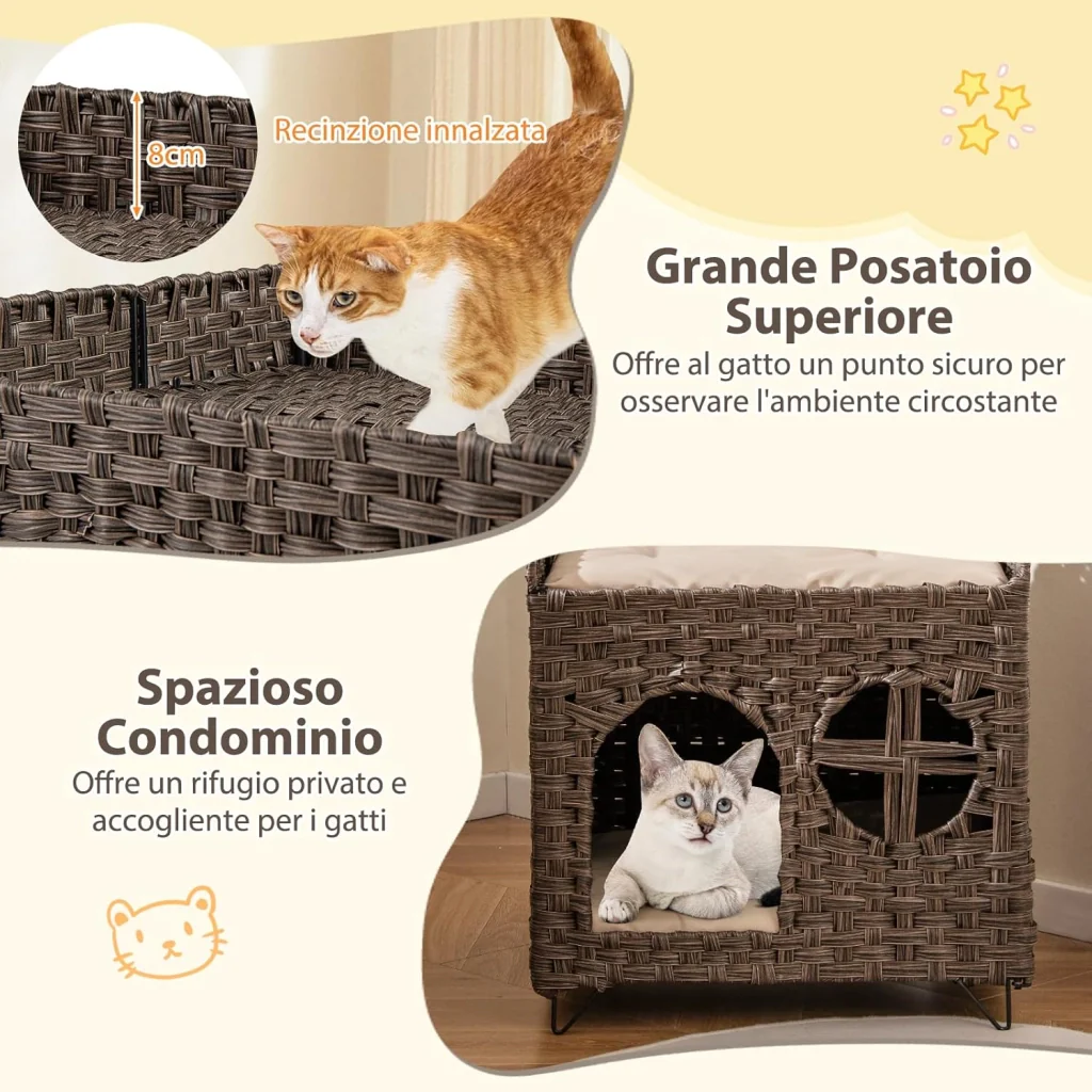 Immagine prodotto 6