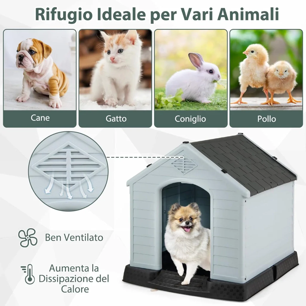 Immagine prodotto 5