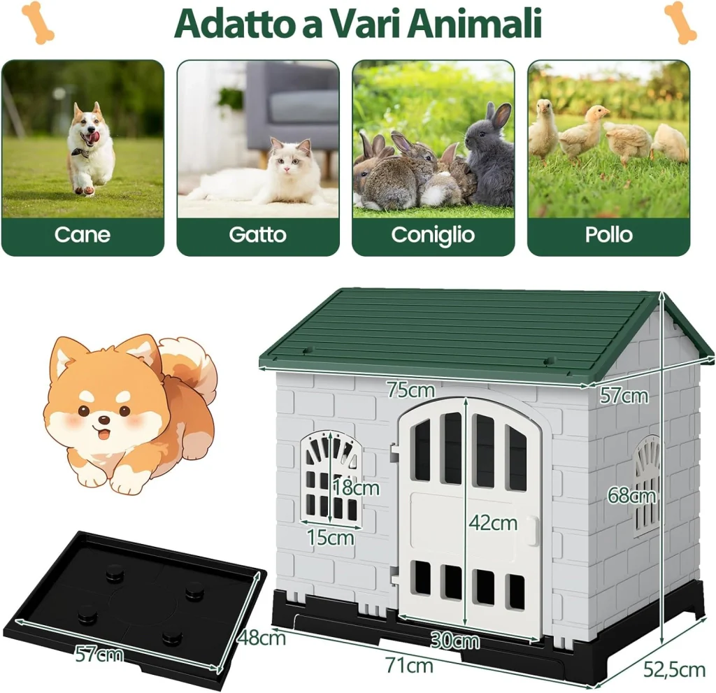 Immagine prodotto 3