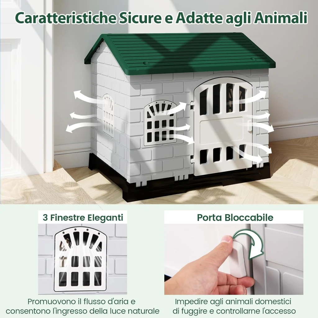 Immagine prodotto 4