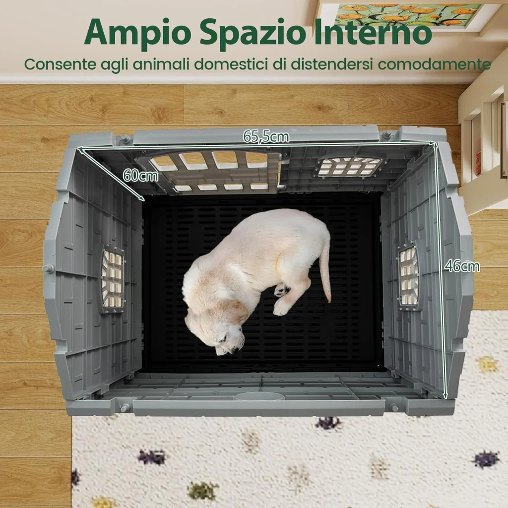 Immagine prodotto 8