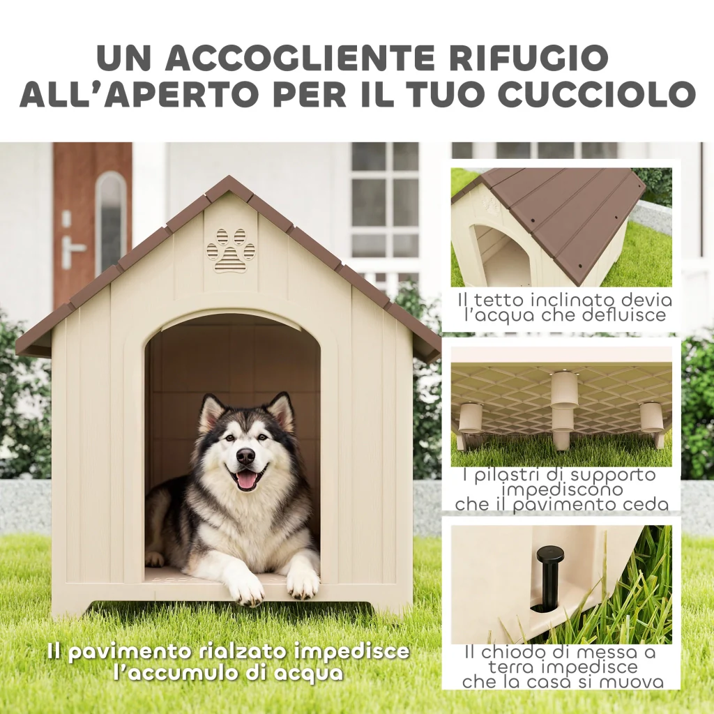 Immagine prodotto 6