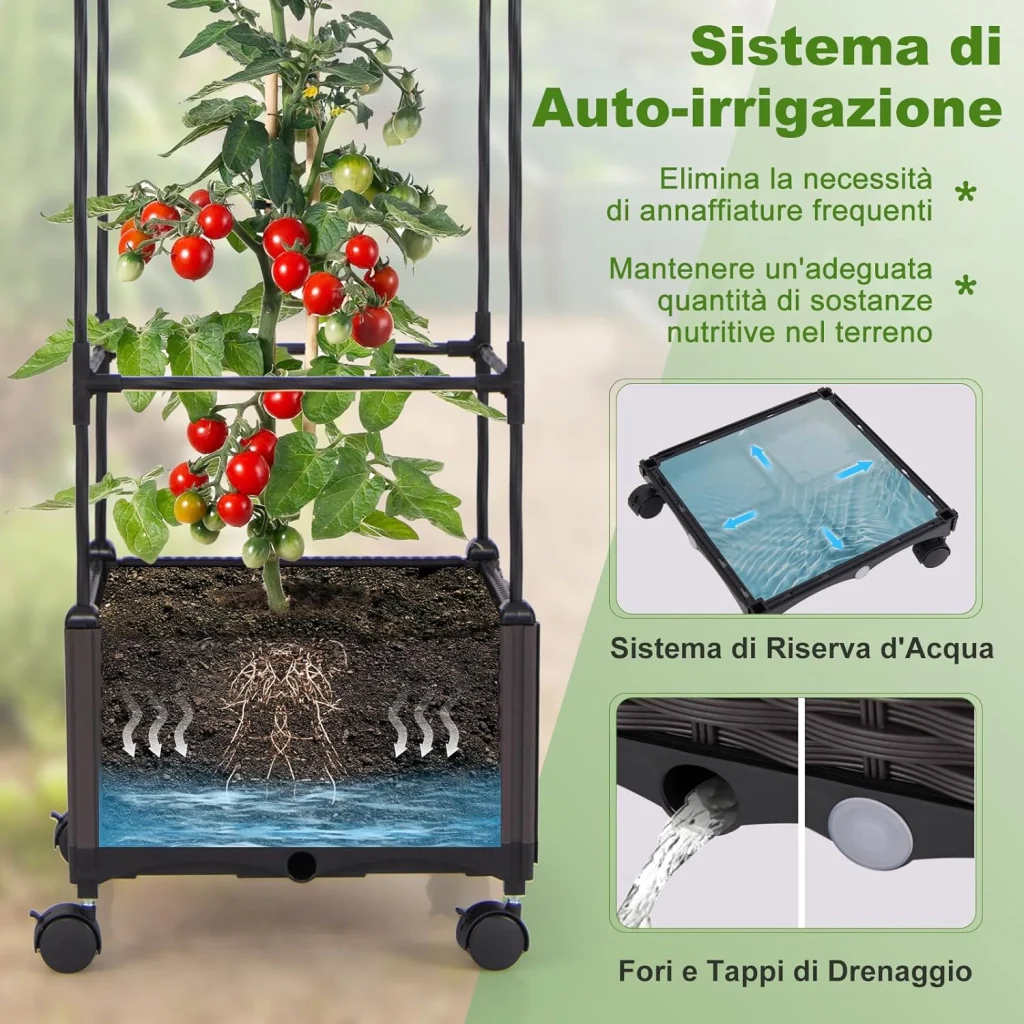 Immagine prodotto 3