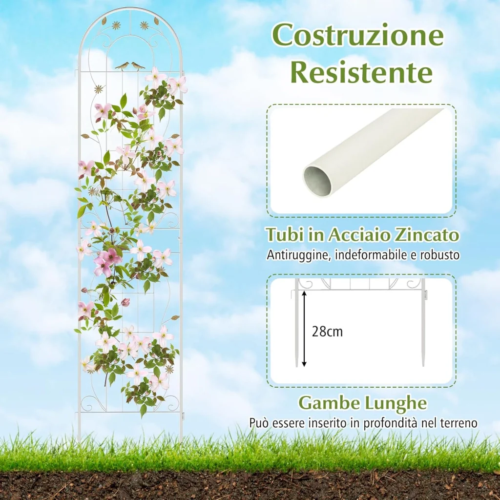 Immagine prodotto 2