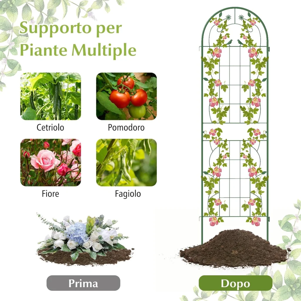 Immagine prodotto 3