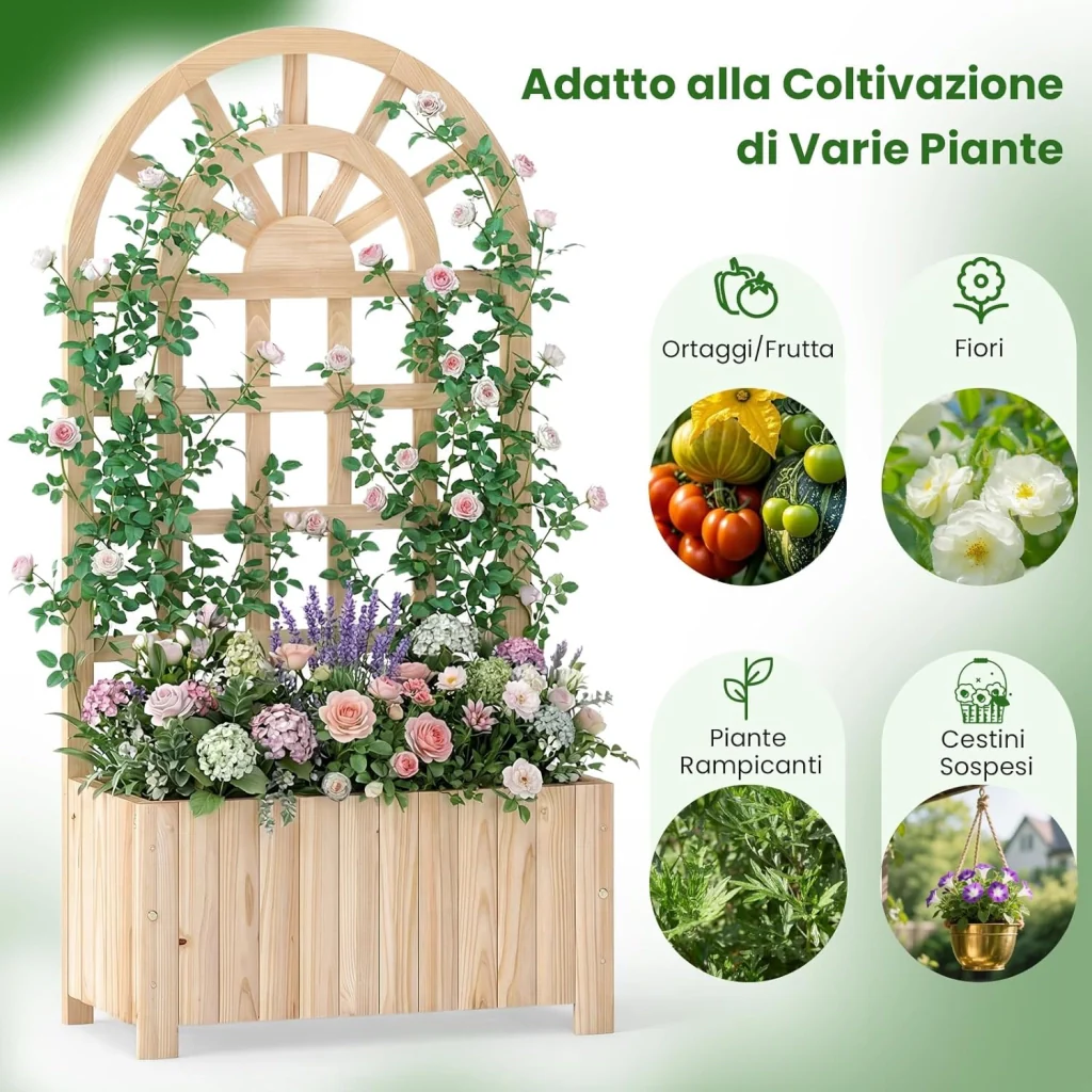 Immagine prodotto 6