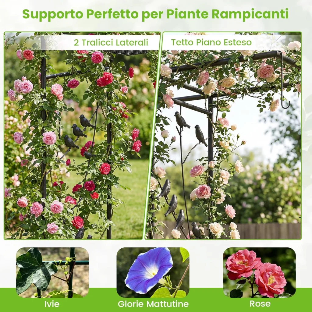 Immagine prodotto 6