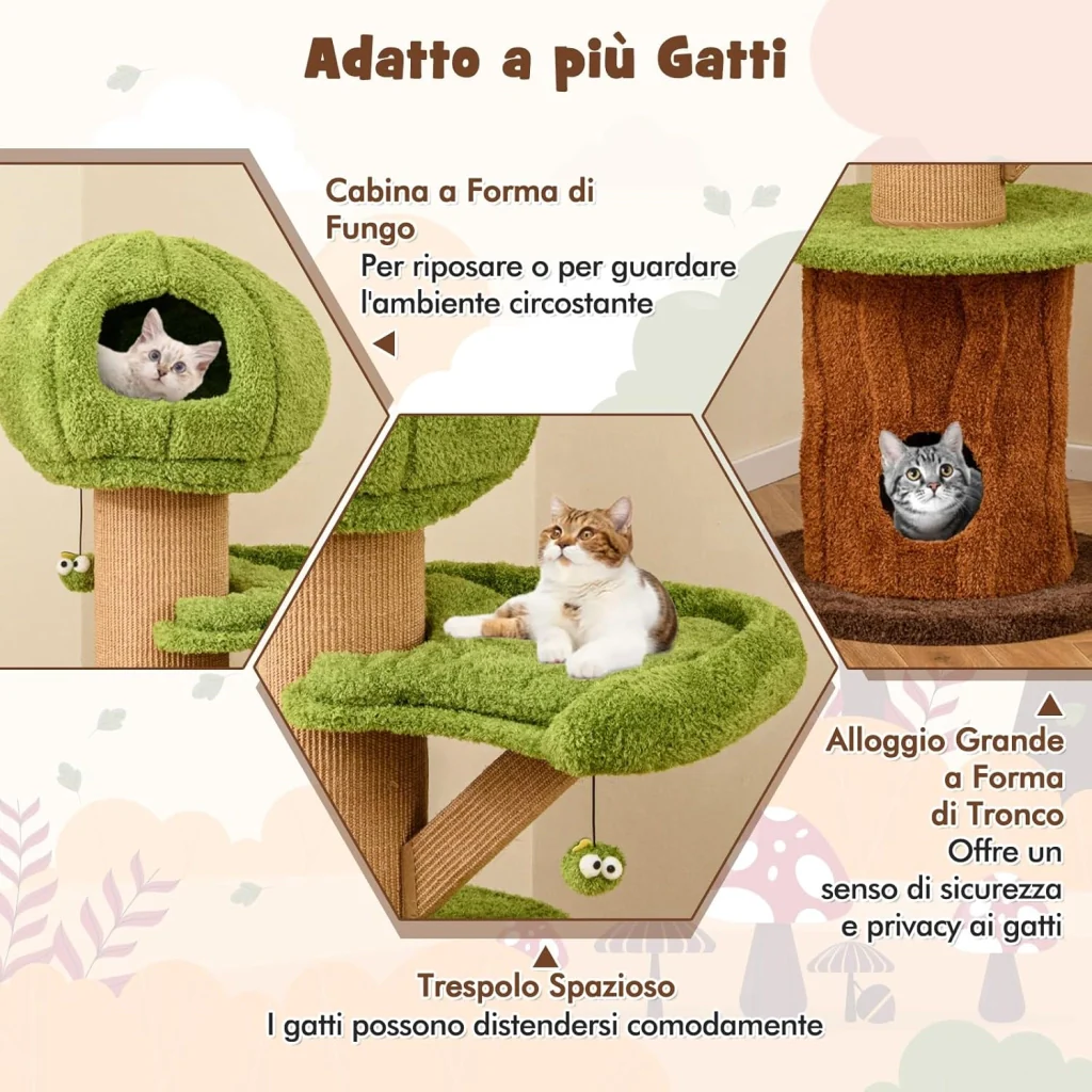 Immagine prodotto 5