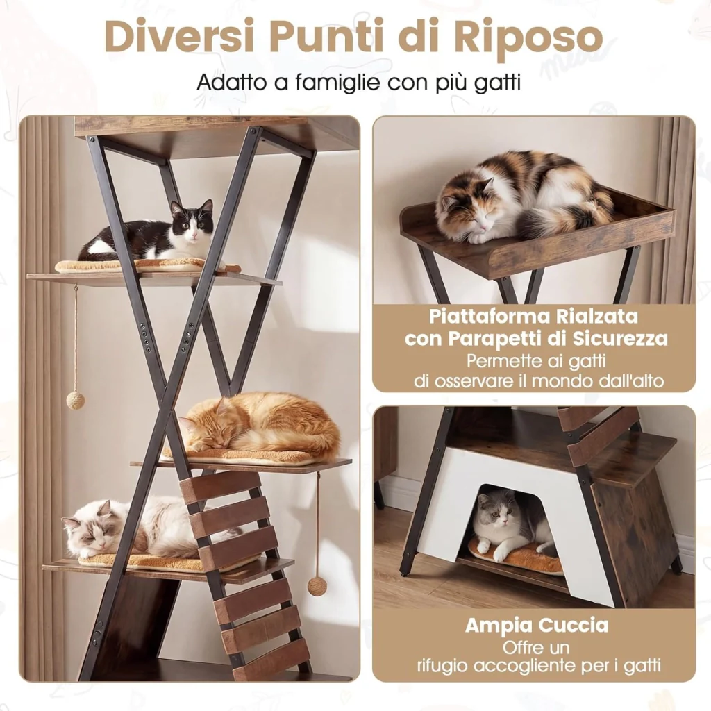 Immagine prodotto 6