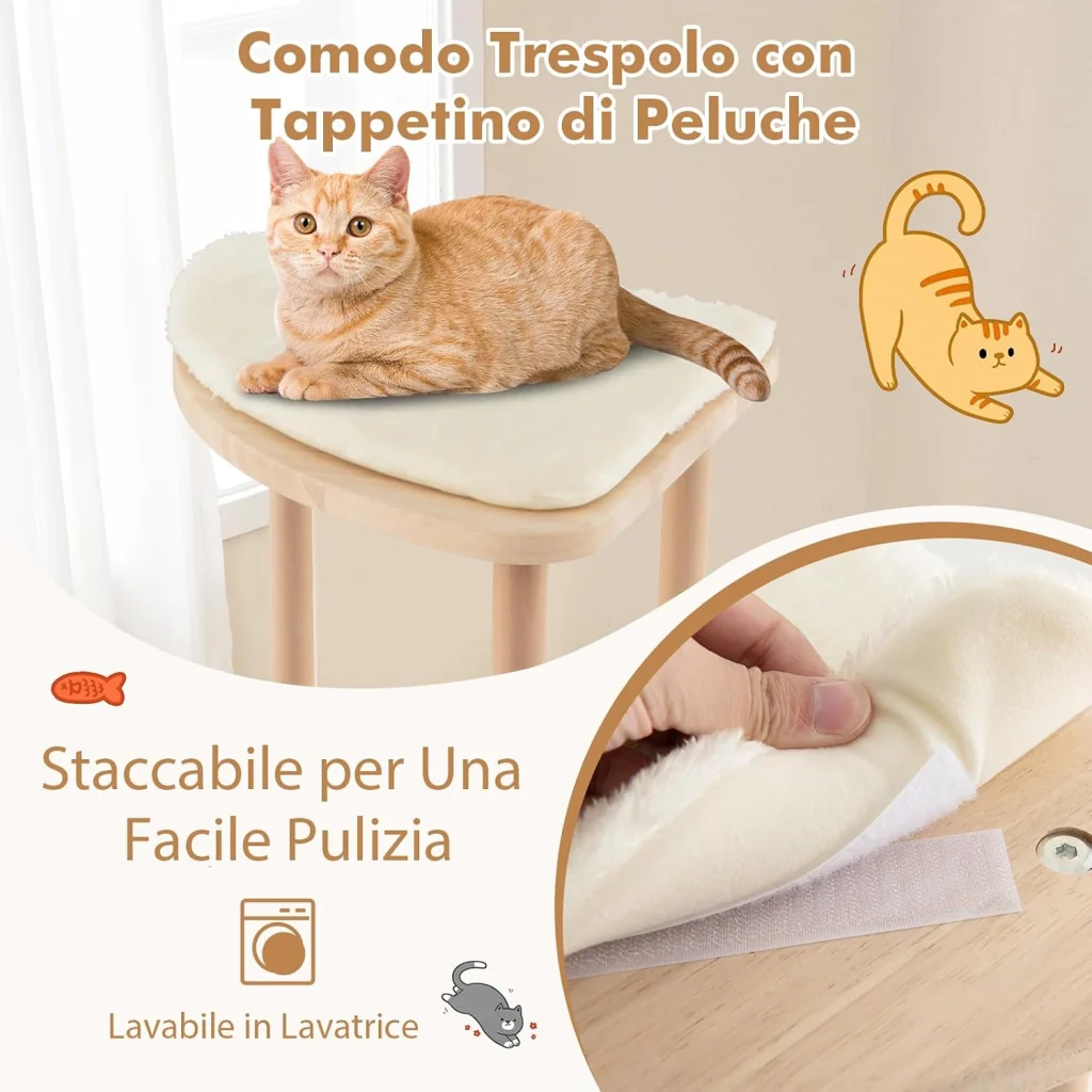 Immagine prodotto 5