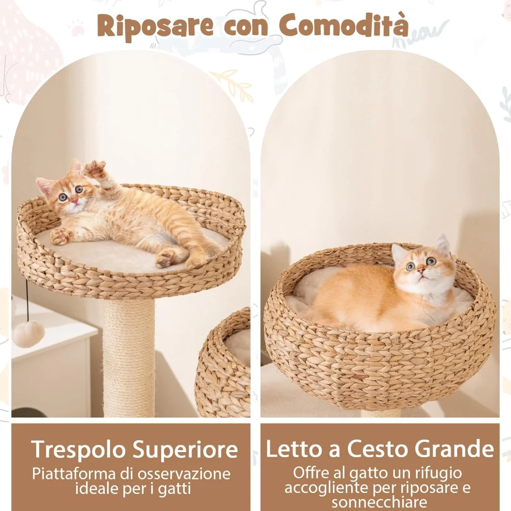 Immagine prodotto 6