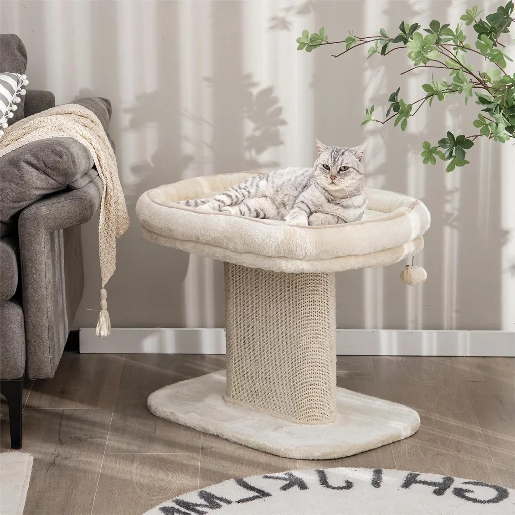 Immagine prodotto 8