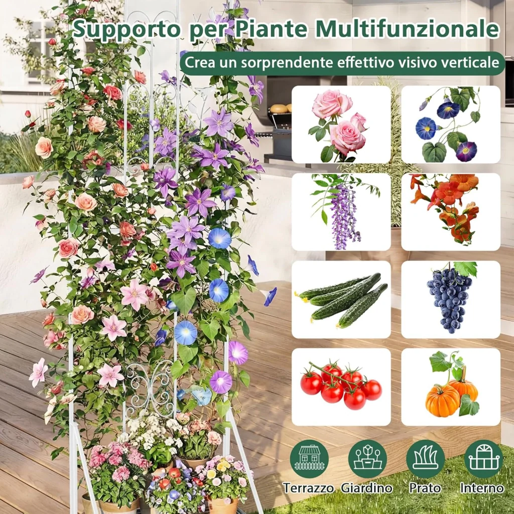 Immagine prodotto 2